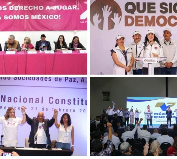 INE aprueba registro de Partido Paz y Personas Sumando; rechaza otras dos solicitudes Politica